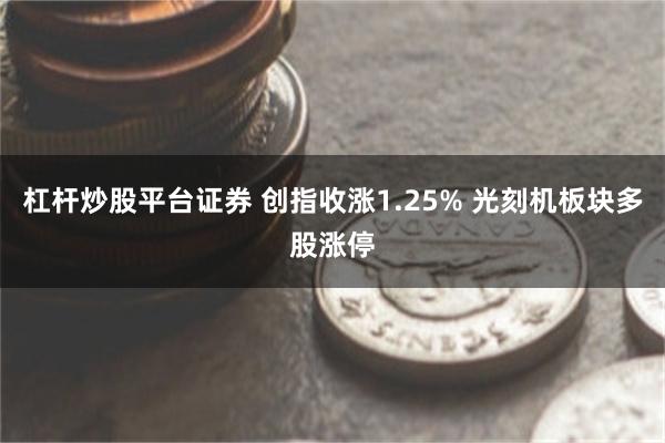 杠杆炒股平台证券 创指收涨1.25% 光刻机板块多股涨停