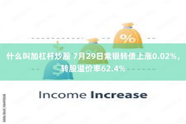 什么叫加杠杆炒股 7月29日紫银转债上涨0.02%，转股溢价率62.4%