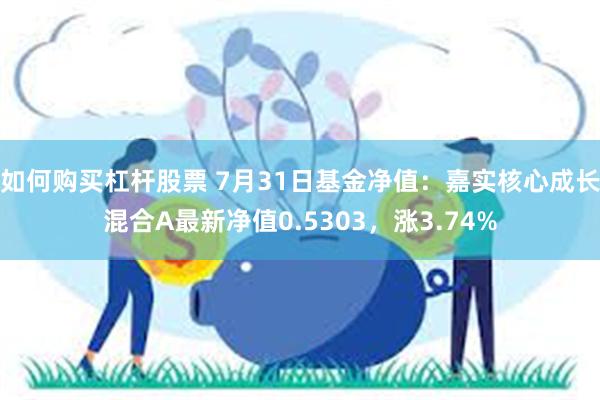 如何购买杠杆股票 7月31日基金净值：嘉实核心成长混合A最新