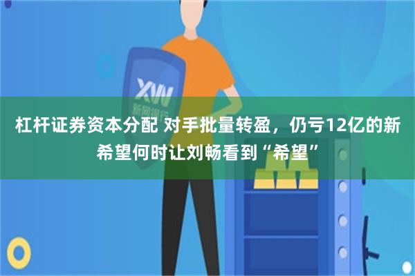 杠杆证券资本分配 对手批量转盈，仍亏12亿的新希望何时让刘畅看到“希望”