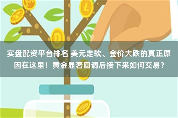 实盘配资平台排名 美元走软、金价大跌的真正原因在这里！黄金显著回调后接下来如何交易？