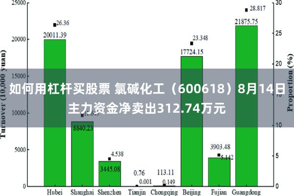 如何用杠杆买股票 氯碱化工（600618）8月14日主力资金净卖出312.74万元