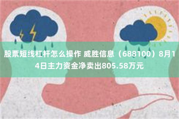 股票短线杠杆怎么操作 威胜信息（688100）8月14日主力资金净卖出805.58万元