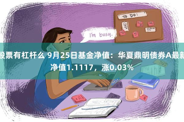 股票有杠杆么 9月25日基金净值：华夏鼎明债券A最新净值1.1117，涨0.03%