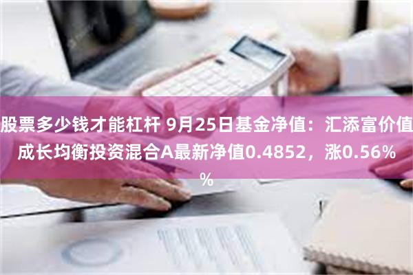 股票多少钱才能杠杆 9月25日基金净值：汇添富价值成长均衡投资混合A最新净值0.4852，涨0.56%