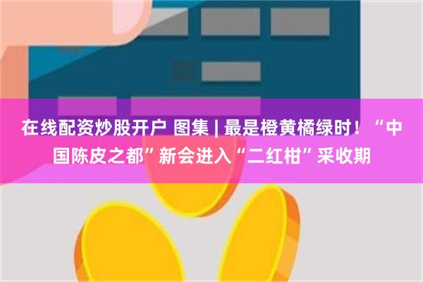 在线配资炒股开户 图集 | 最是橙黄橘绿时！“中国陈皮之都”新会进入“二红柑”采收期