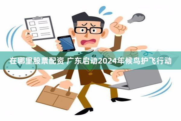 在哪里股票配资 广东启动2024年候鸟护飞行动