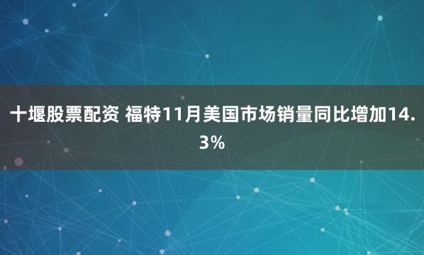 十堰股票配资 福特11月美国市场销量同比增加14.3%