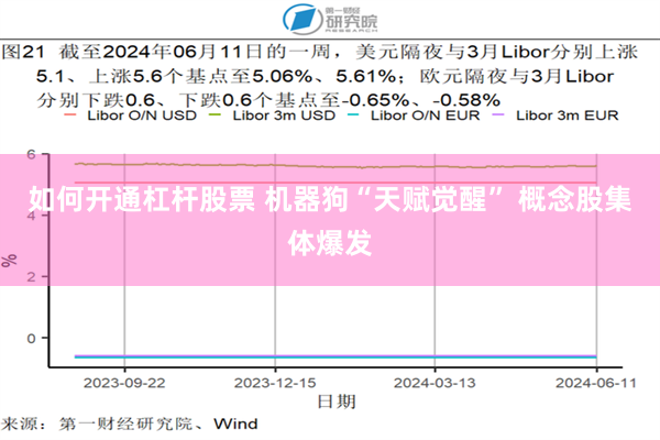 如何开通杠杆股票 机器狗“天赋觉醒” 概念股集体爆发