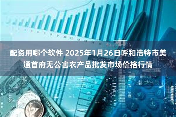 配资用哪个软件 2025年1月26日呼和浩特市美通首府无公害农产品批发市场价格行情