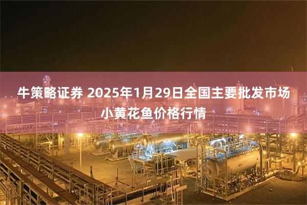 牛策略证券 2025年1月29日全国主要批发市场小黄花鱼价格行情